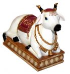 Surabhi Cow 5"